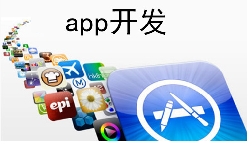 app小程序開(kāi)發(fā)制作公司

