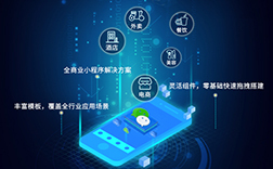 小程序開發(fā)多少錢一個，定制與模板的差價是多少